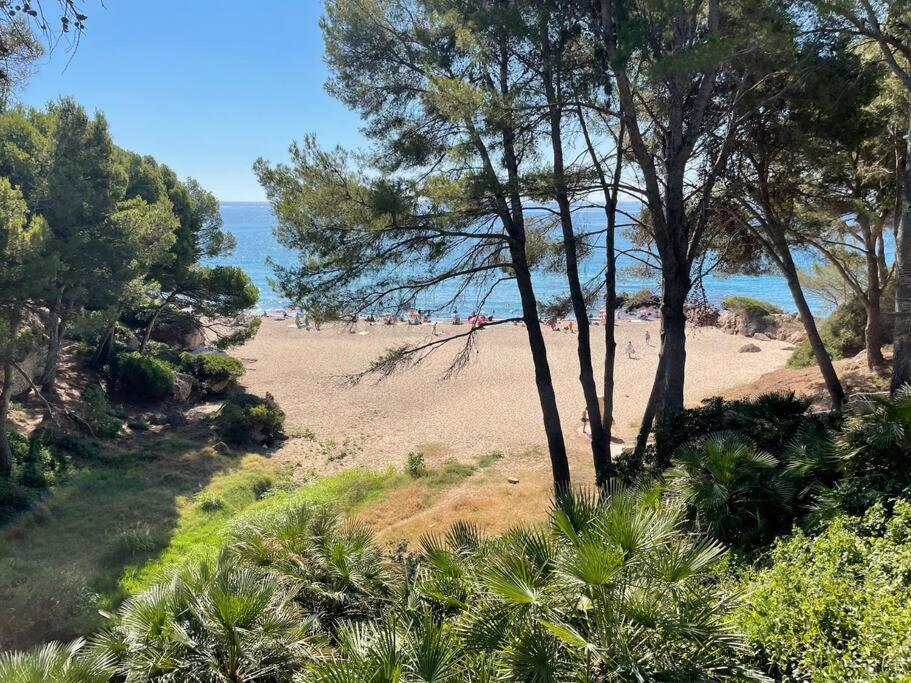 Precioso Apto Miami Primera Linia Playa Cala De Las Sirenas, Con Wifi Y Netflix, Adecuado Para Teletrabajar Miami Playa Dış mekan fotoğraf